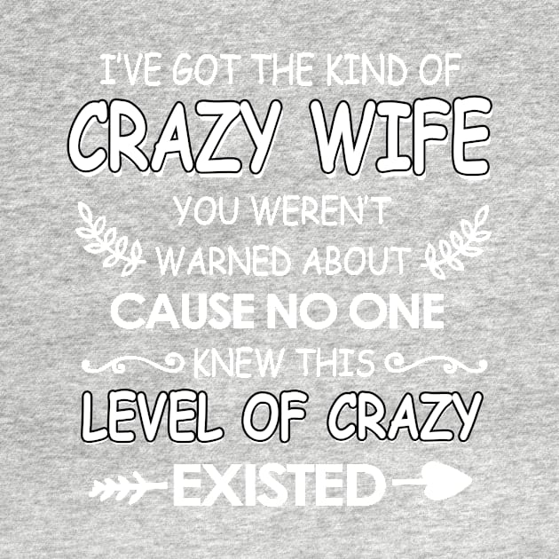 I've got The kind of crazy wife you weren't cause no one knew by TEEPHILIC